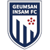 Geumsan Insam